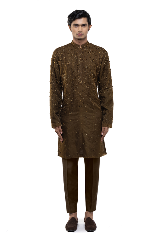 Brown Organza Applique Embroidered Kurta Set