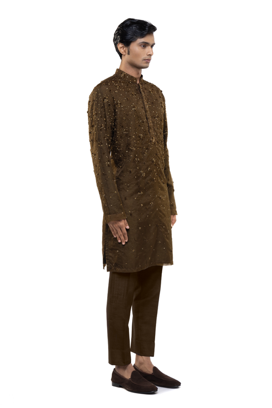 Brown Organza Applique Embroidered Kurta Set