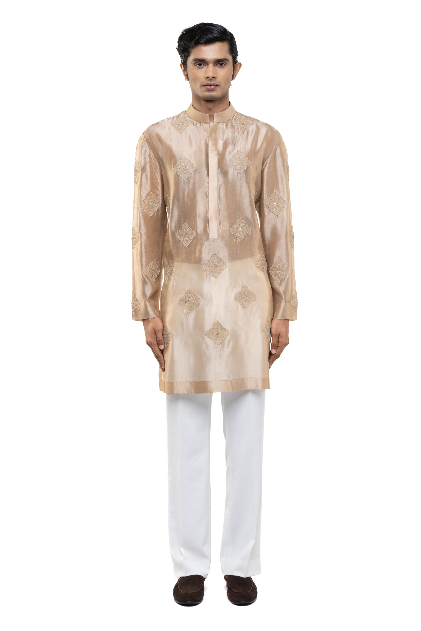 Beige Organza Translucent Kurta Set