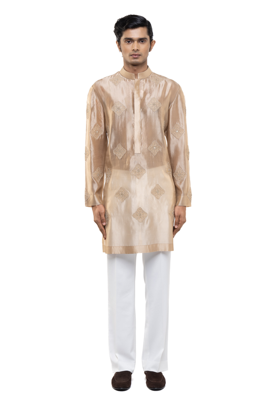 Beige Translucent Organza Kurta Set