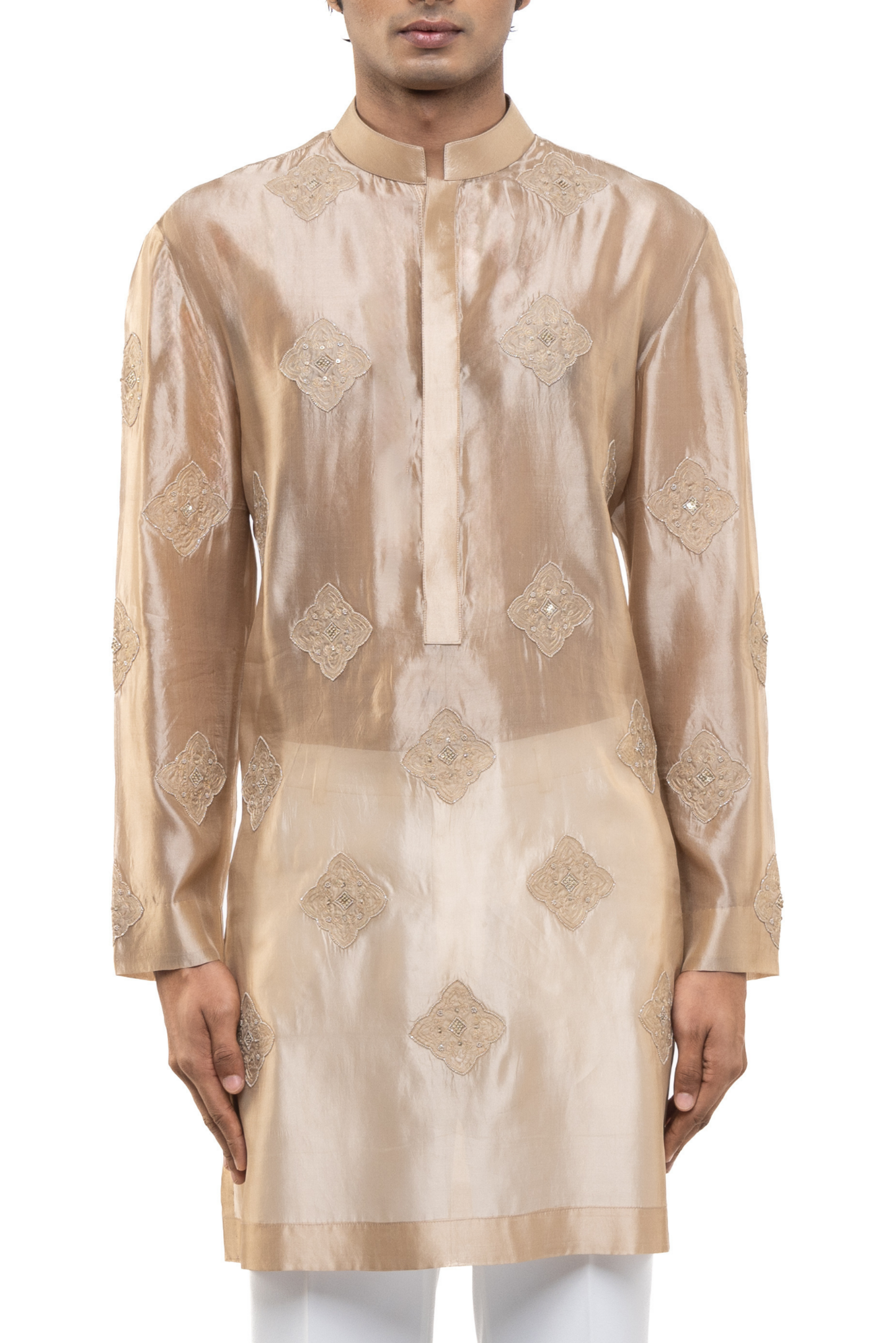 Beige Organza Translucent Kurta Set