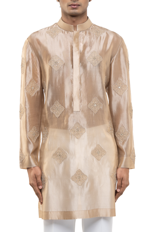 Beige Translucent Organza Kurta Set