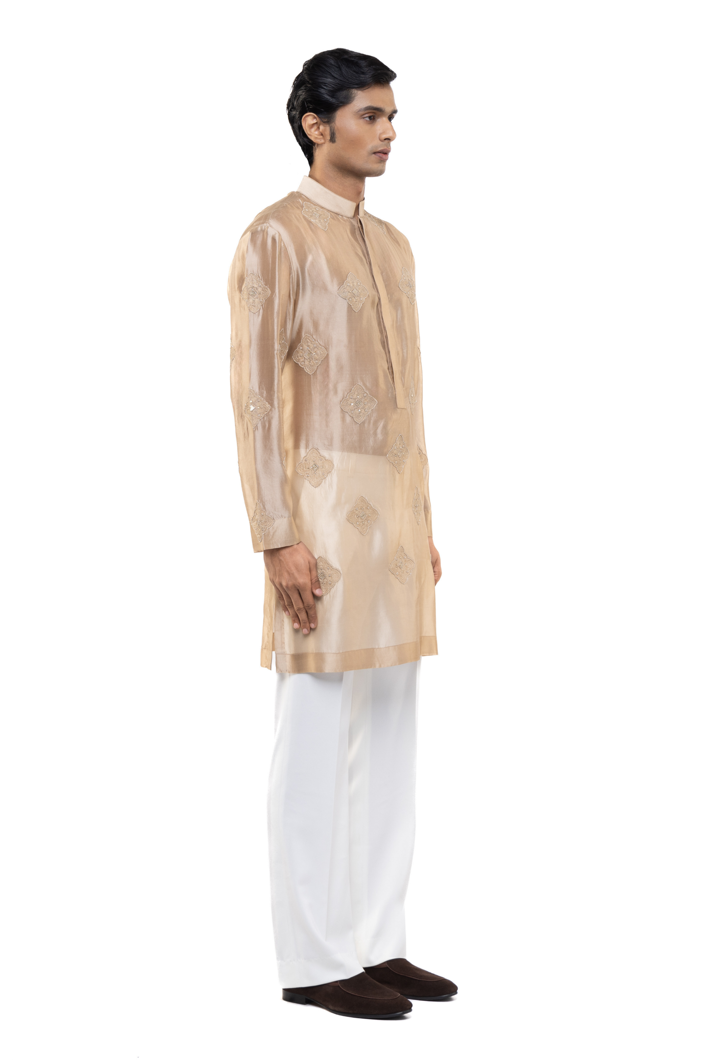 Beige Organza Translucent Kurta Set