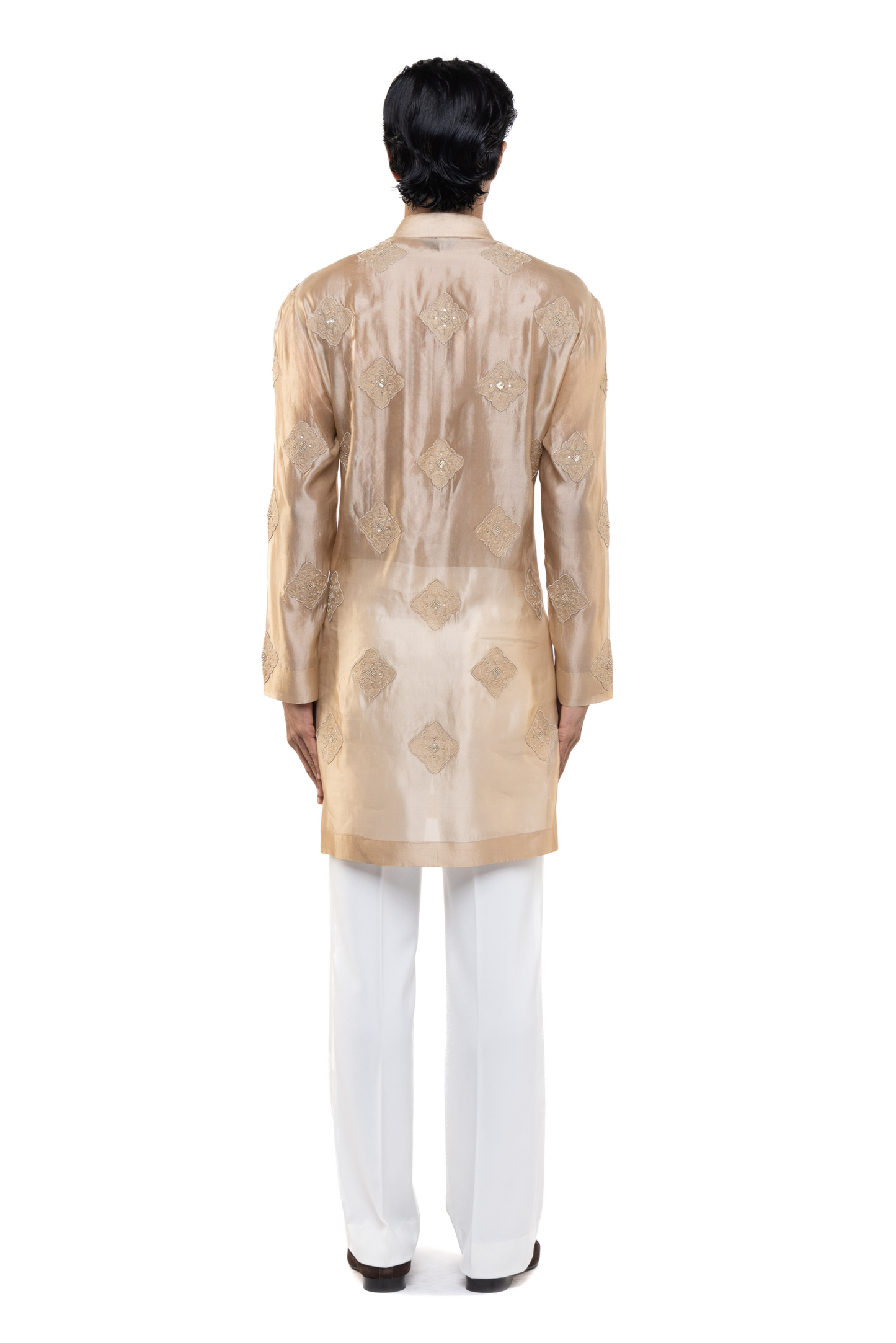 Beige Organza Translucent Kurta Set